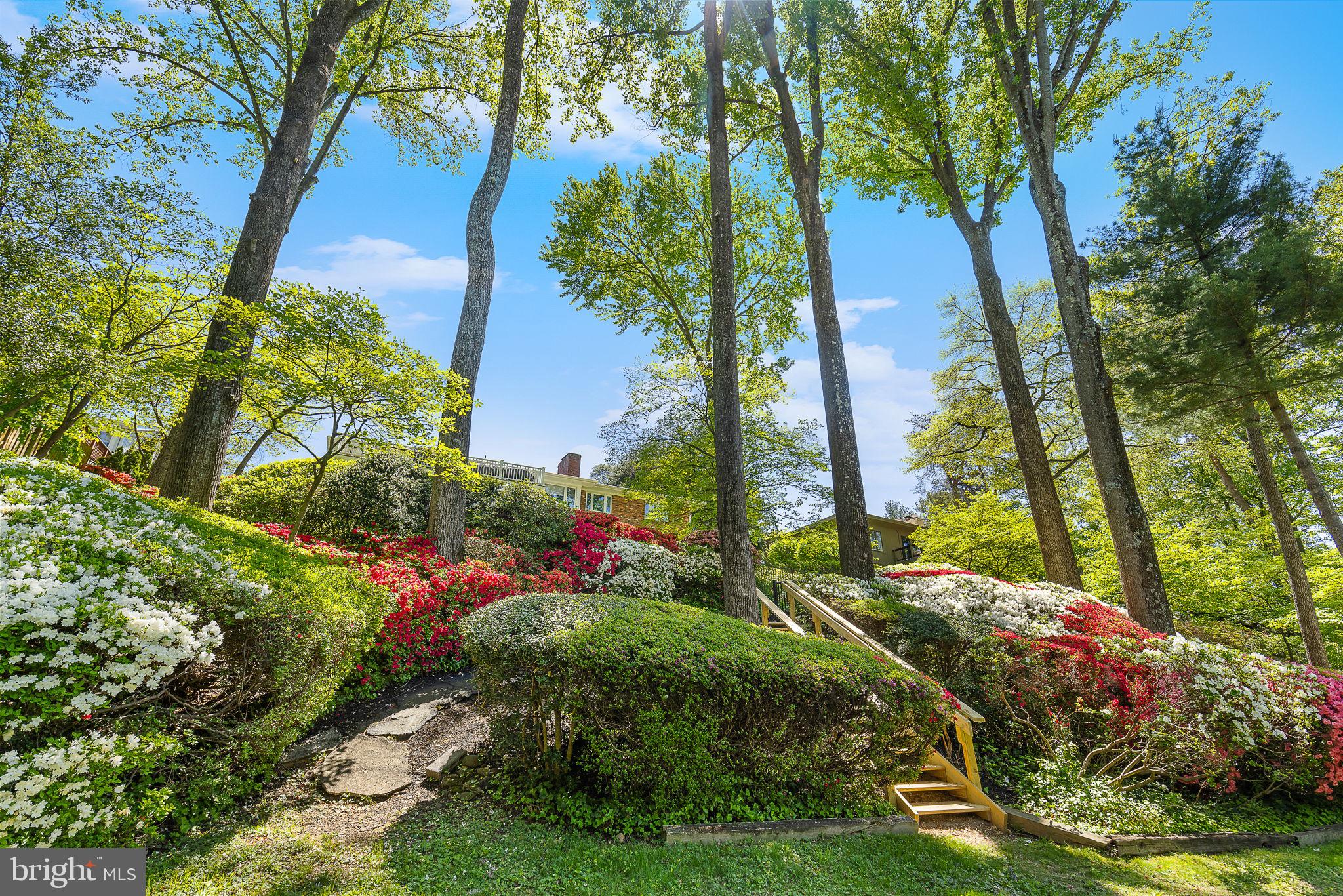 LAKE BARCROFT - Residential