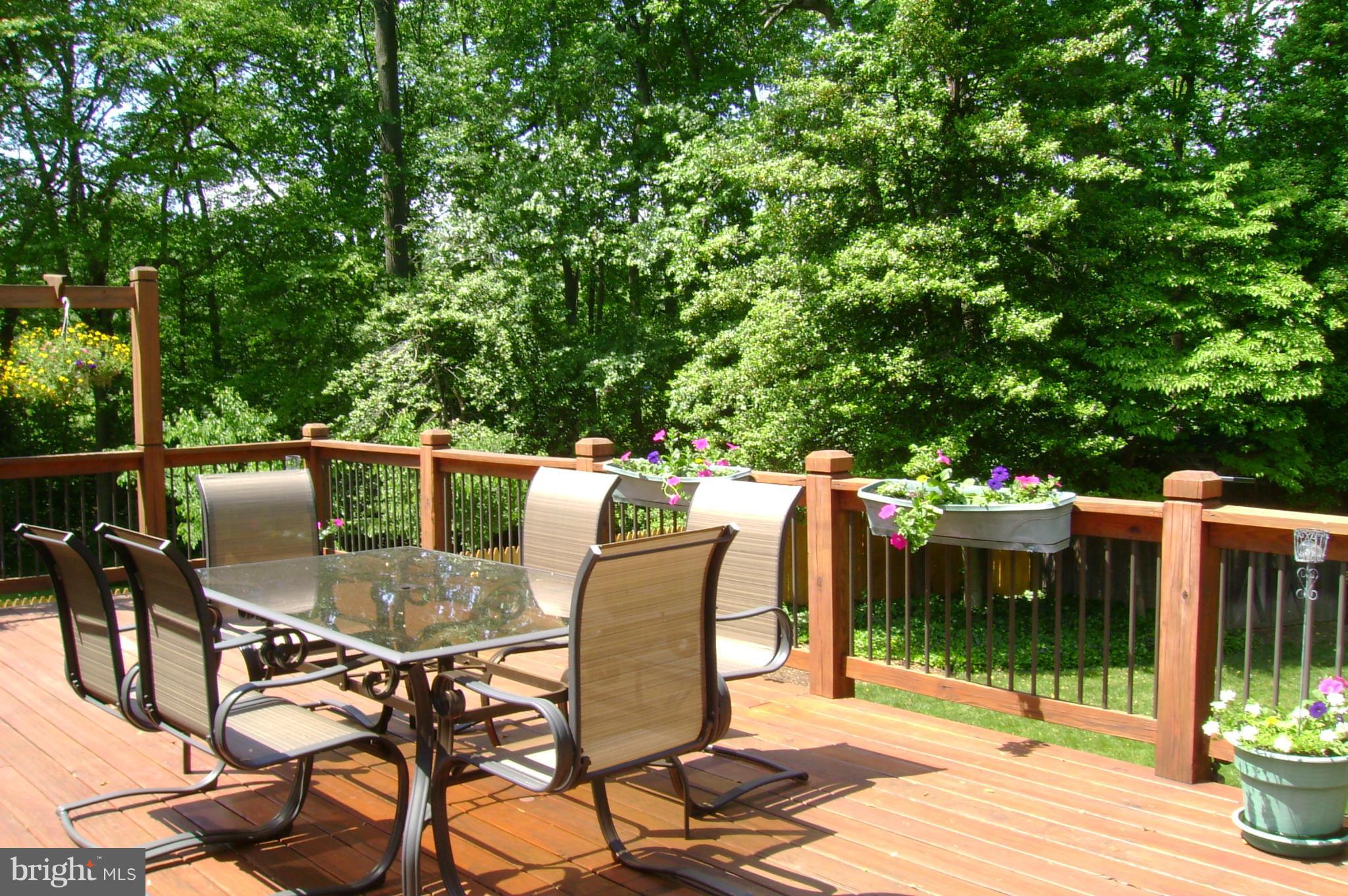 CAMPUS GREEN - Residential Lease