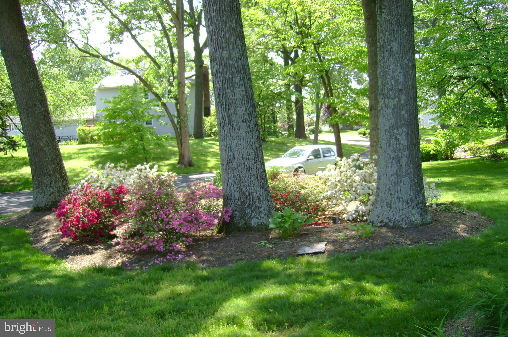 CAMPUS GREEN - Residential Lease