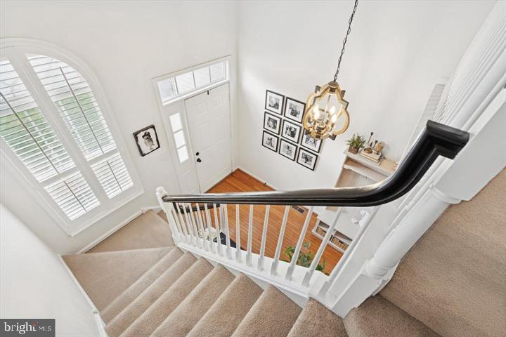 GLENN ROSE - Residential