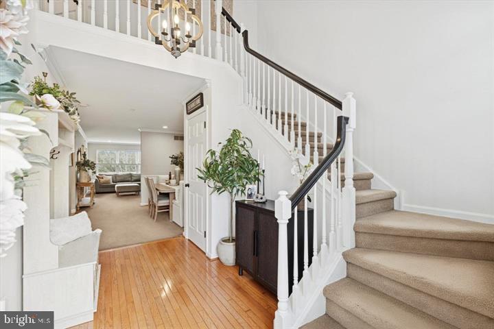 GLENN ROSE - Residential