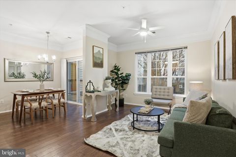 1600 SPRING GATE DRIVE 2204 MCLEAN VA 22102