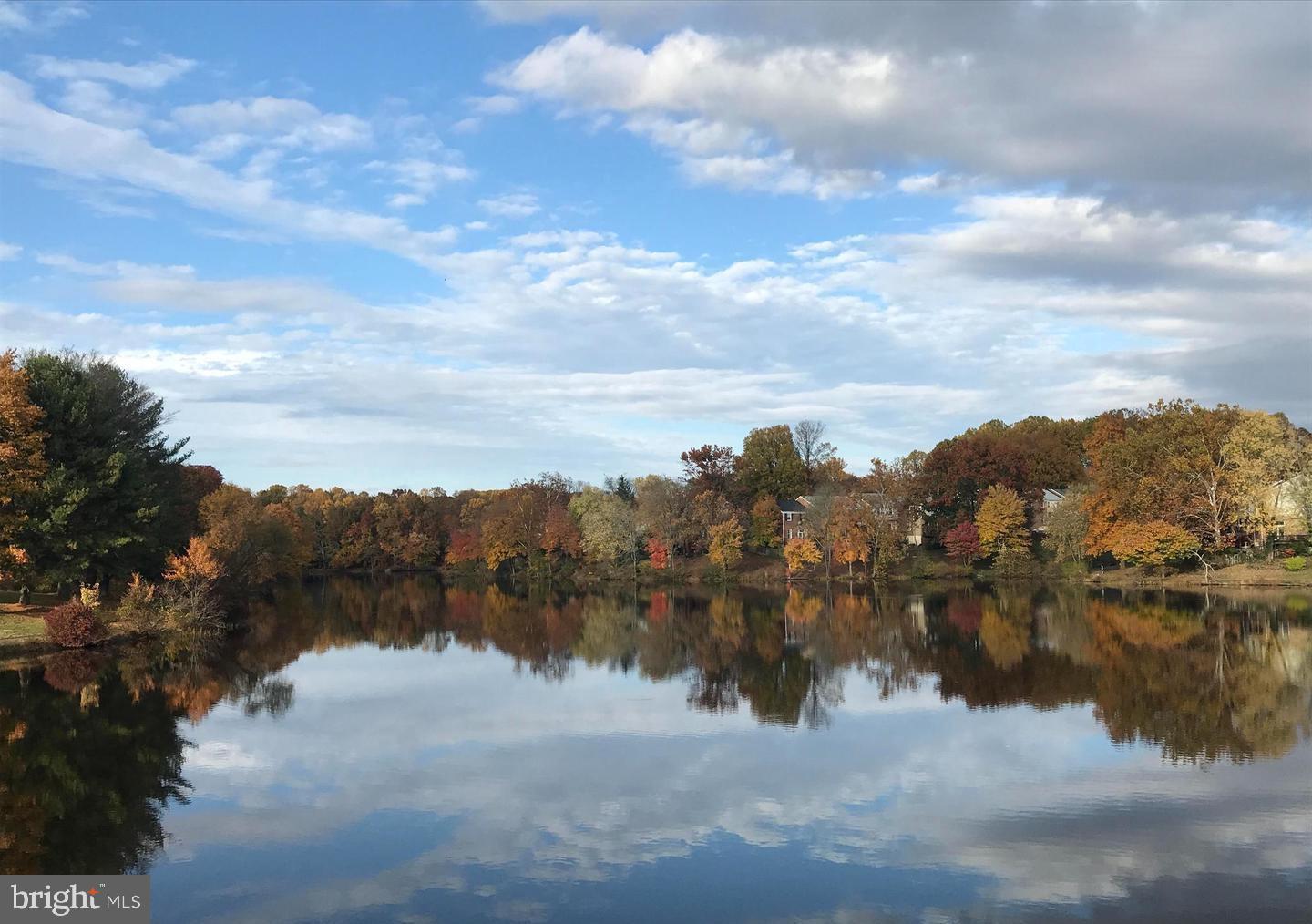 LAKE BRADDOCK - Residential Lease