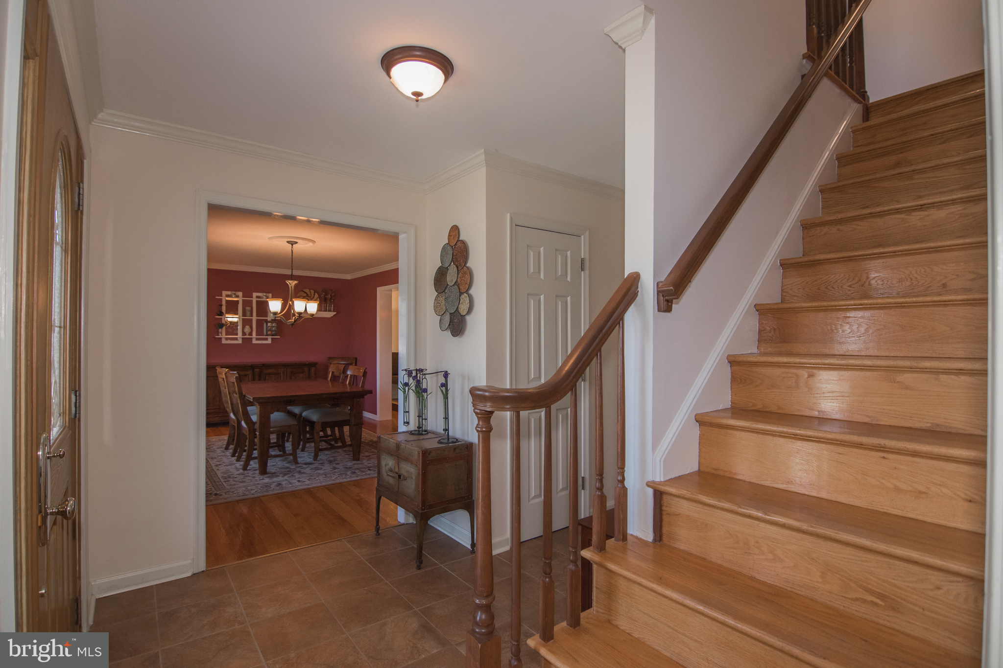 65 WHITE BARK DRIVE