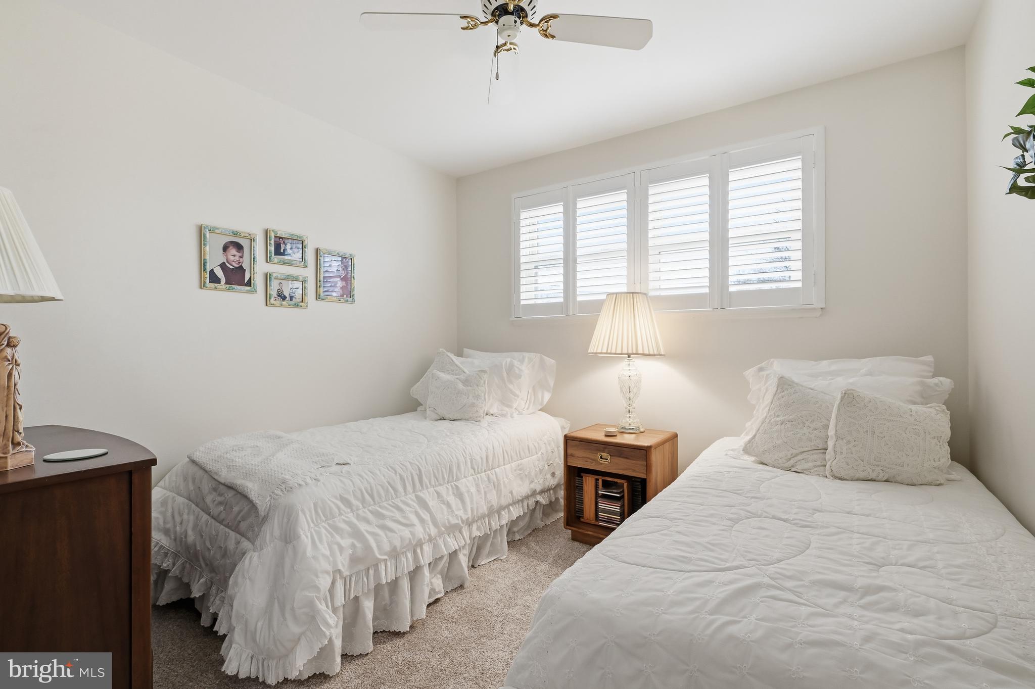 WASHINGTON PARK - Residential