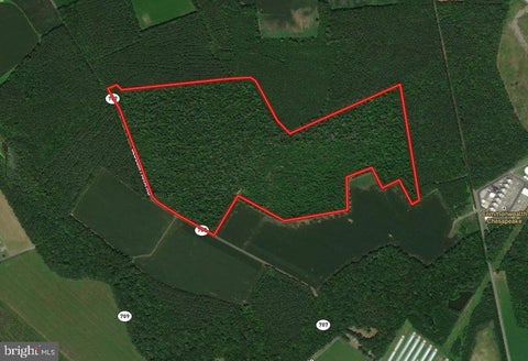 Vacant Land For Sale - Slocom Farm Road<br/> NEW CHURCH, VA 23415