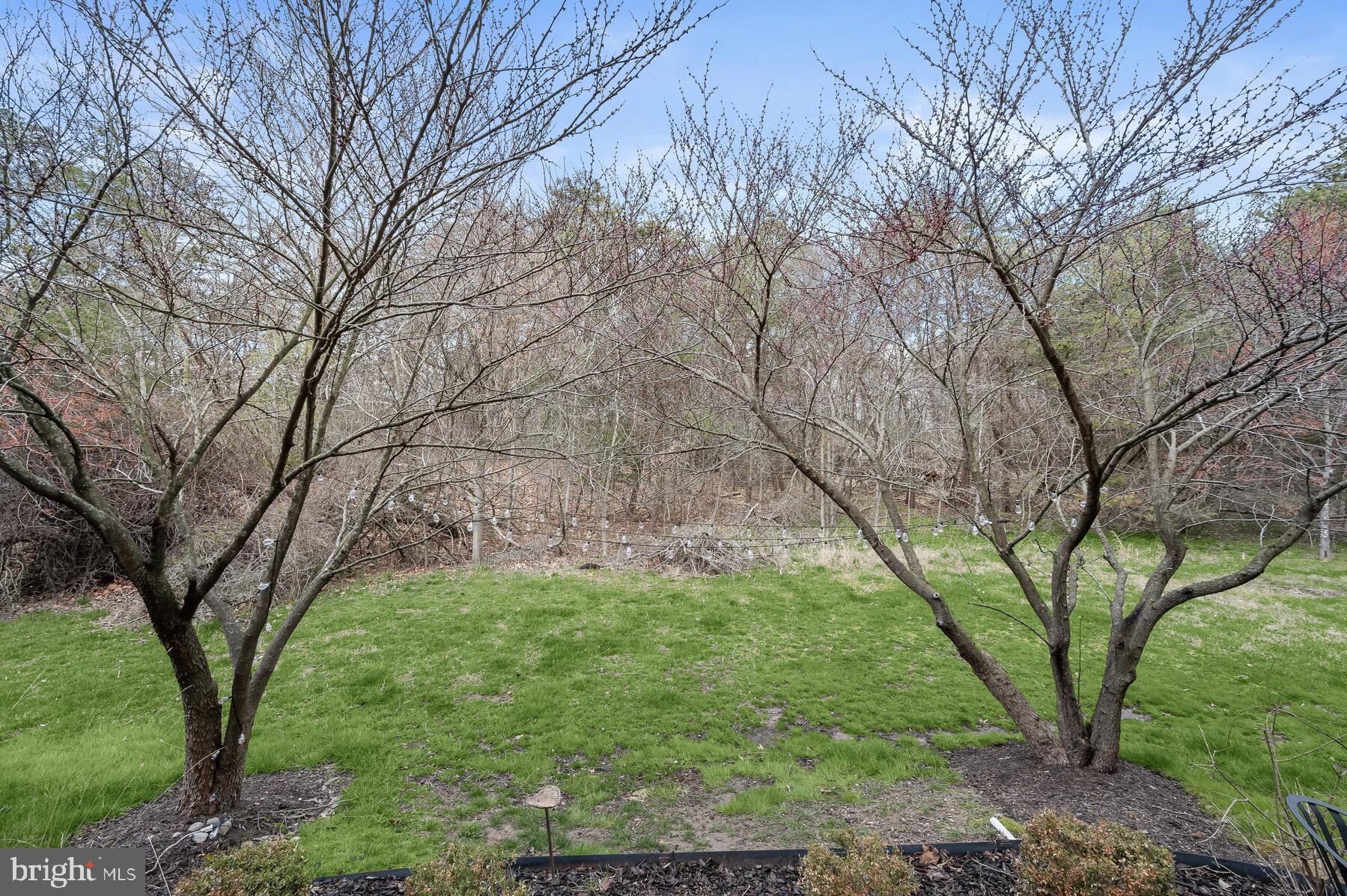 VILLAGES OF DORCHESTER - Residential