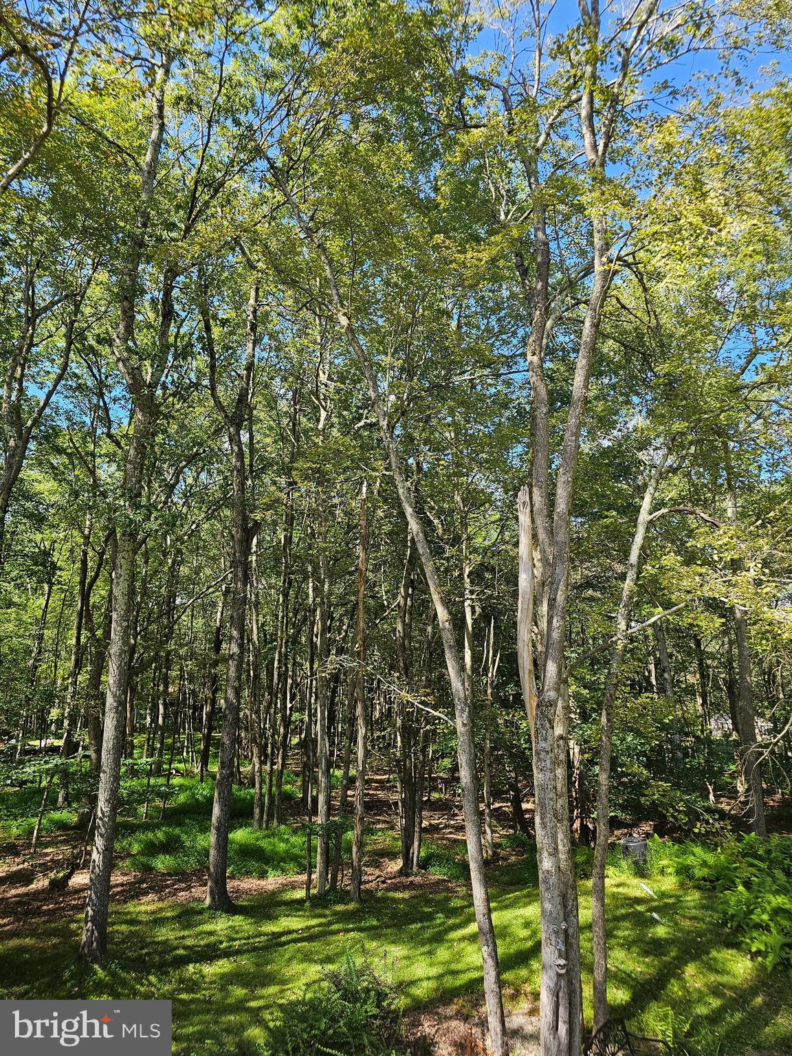 TOWAMENSING TRAILS - Residential