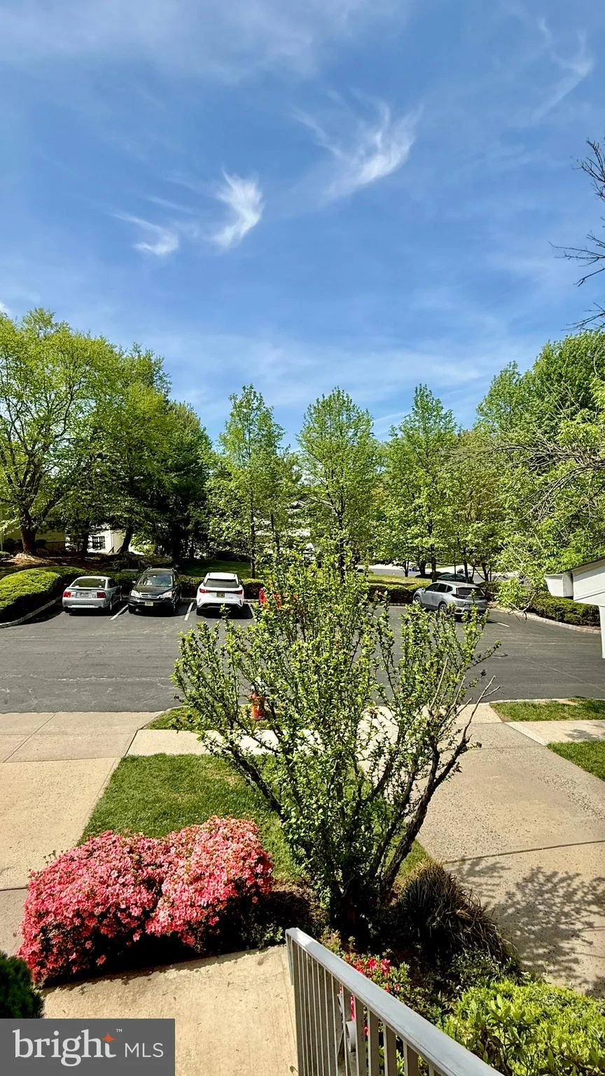 Princeton, New Jersey 08540, United States, 3 Bedrooms Bedrooms, ,3 BathroomsBathrooms,Residential,Contingent,122626