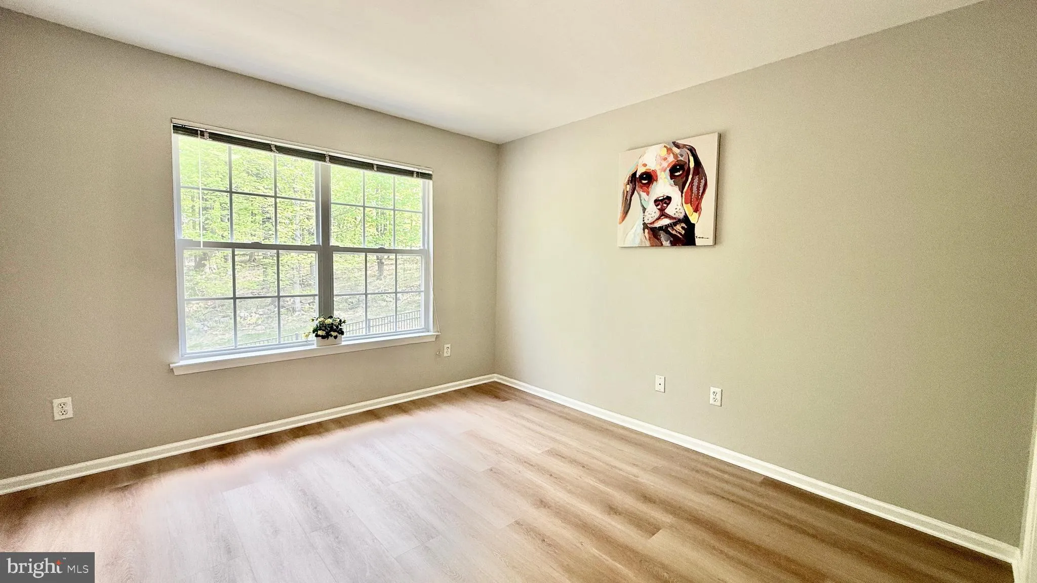 Princeton, New Jersey 08540, United States, 3 Bedrooms Bedrooms, ,3 BathroomsBathrooms,Residential,Contingent,122626