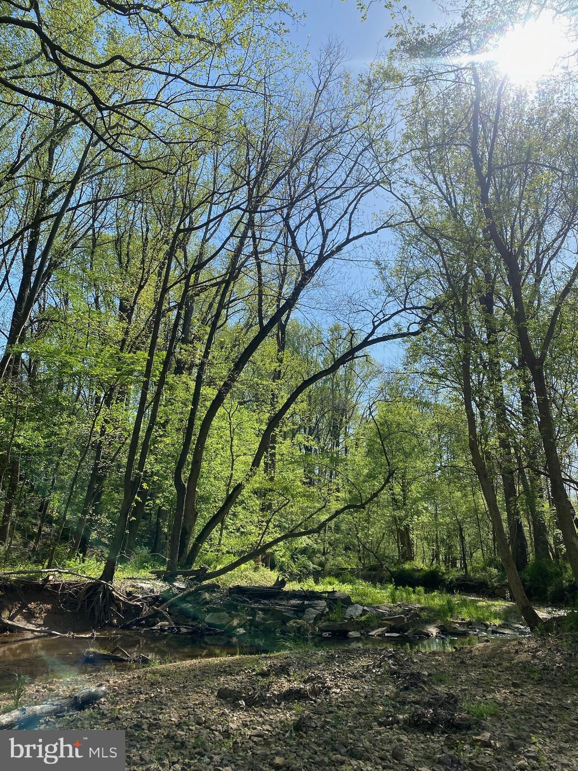 11800 GLEN MILL ROAD