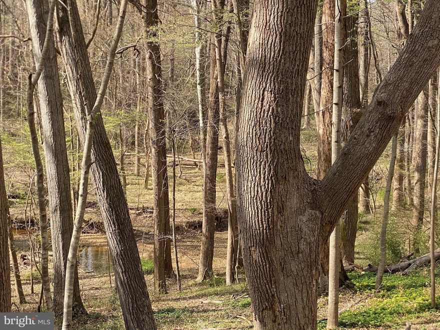 Everyone says it, but this one truly is the one you have to see to believe… 

Tucked away just off the designated rustic Glen Mill Road lies a rare opportunity: 3.72 acres of serene, creekside retreat — your very own private nature preserve.  From the road, the land may appear unassuming. But step into the trees, and its magic reveals itself. Neighbors fade from view, and you're immersed in complete seclusion. This is a place where peace lives in the rustling leaves, and nature thrives all around — wild turkeys, deer, foxes, and many more sharing your woodland haven.

Design and build your dream estate-style home — with room to add an Accessory Dwelling Unit (ADU) — on a spacious homesite nestled above the gently winding banks of Piney Branch. A private lane welcomes you in, guiding you to this wooded sanctuary where life slows down and quiet moments abound.

And while it feels a world away, you're only minutes from I-270, Potomac Village, shopping, garden centers, beautiful parks, and the world-renowned Glenstone Museum. Whether you're relaxing at home or exploring the area, the best of both worlds is right at your doorstep.

This is more than a property. It’s a blank canvas — a chance to create your own paradise and experience a lifestyle few ever find.