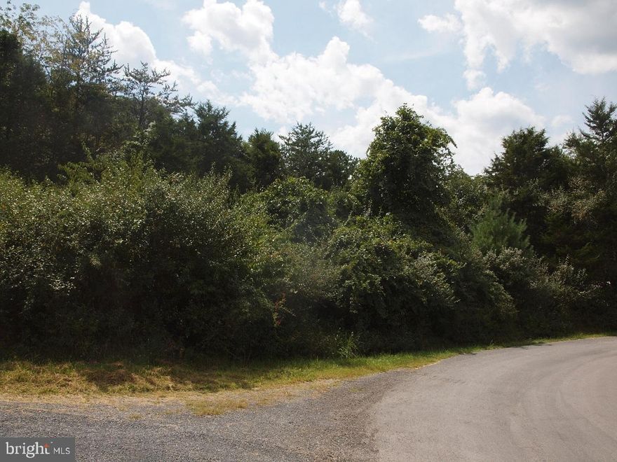6.69 wooded Acres ,currently assessed as 6.56 ac, located in Oakwood Estates.  Quiet area, convenient  to local shopping and restaurants. Some restrictions apply.