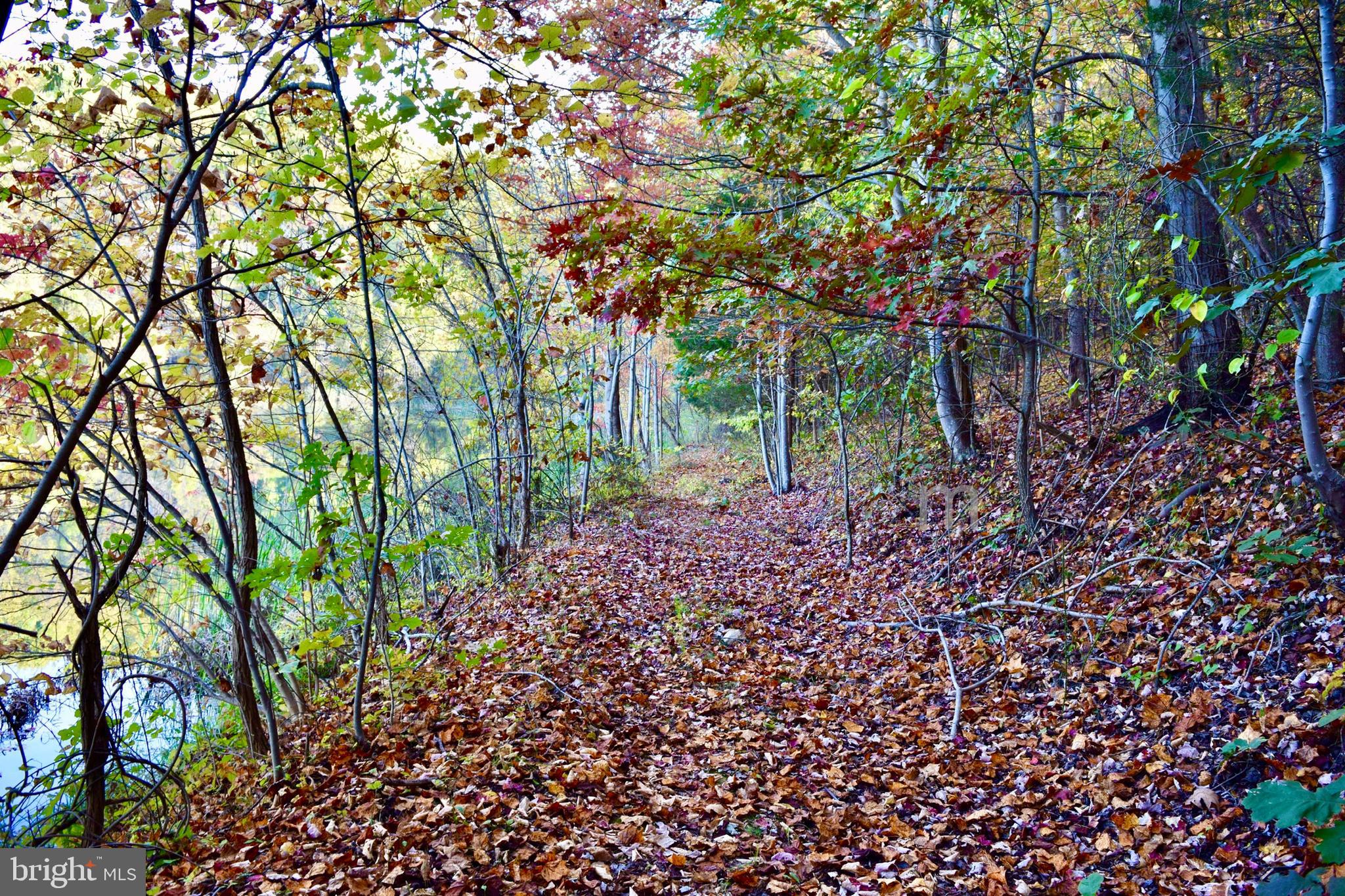 SHEN FARMS MT LAKE - Residential