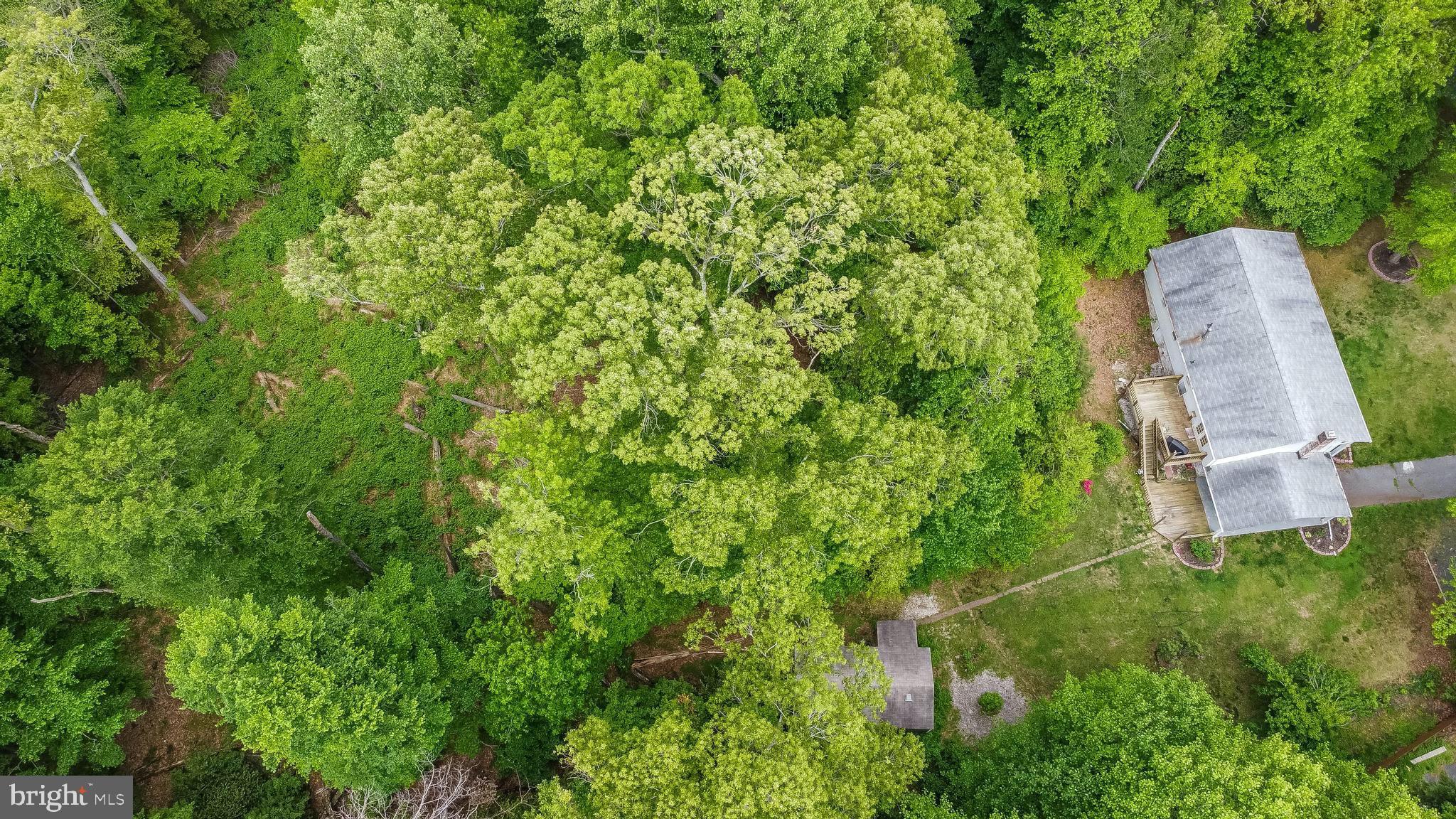 COLUMBIA PARK - Residential