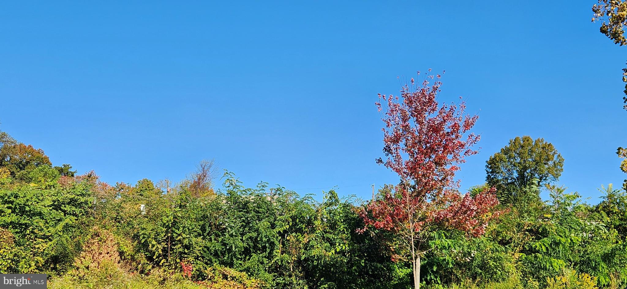 HIGHLANDER PARK - Residential Lease