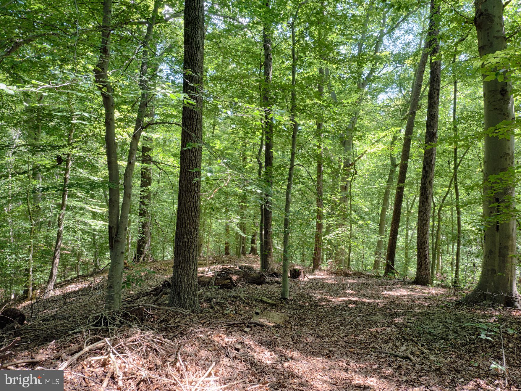 SHERWOOD MANOR - Residential