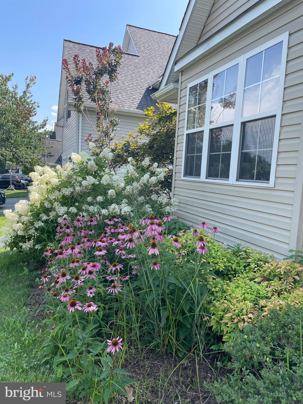 WESTWOOD PARK - Residential