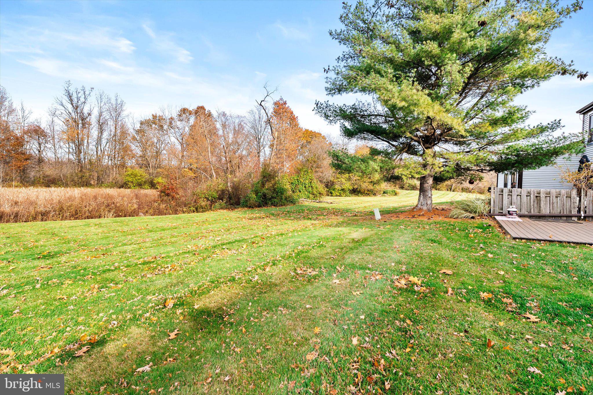 SHARON MEWS - Residential