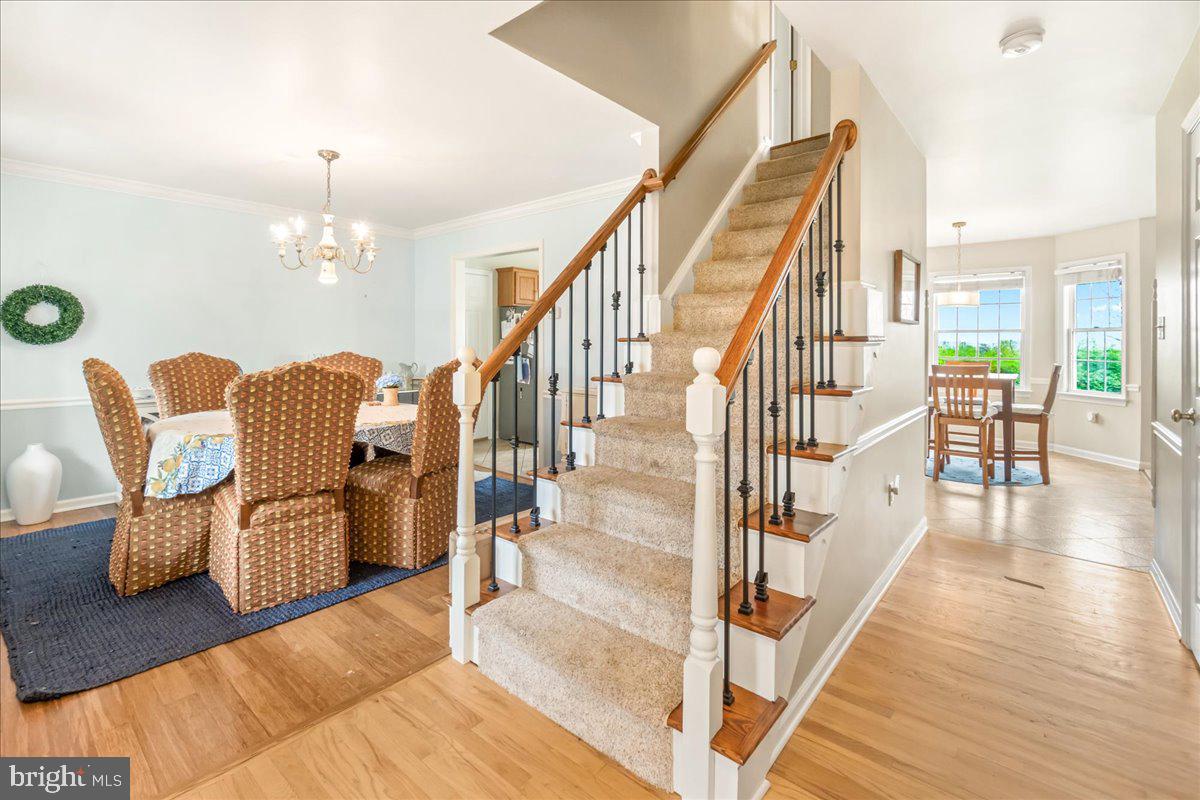 ORCHARD HILLS - Residential