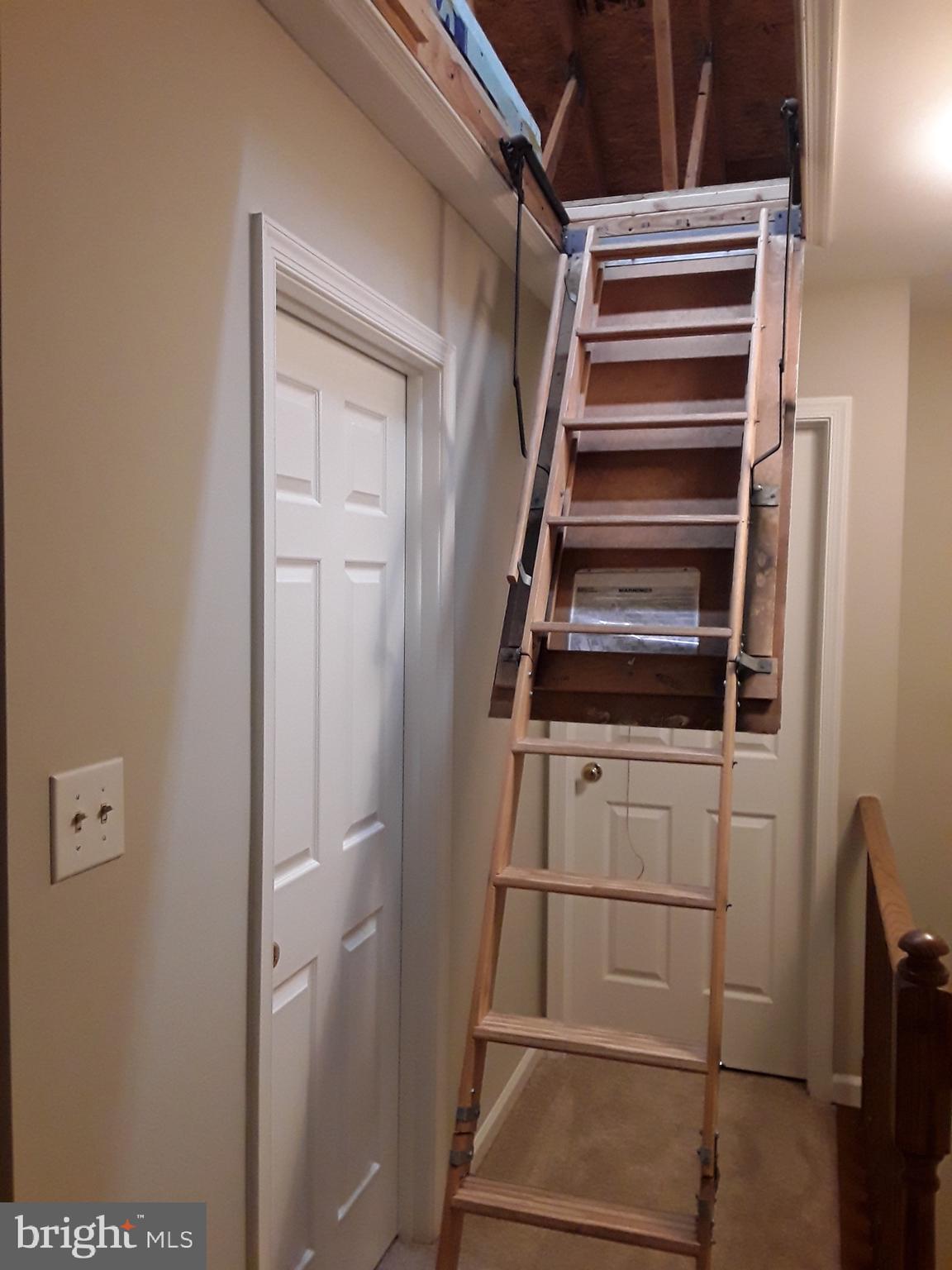 PARADISE - Residential