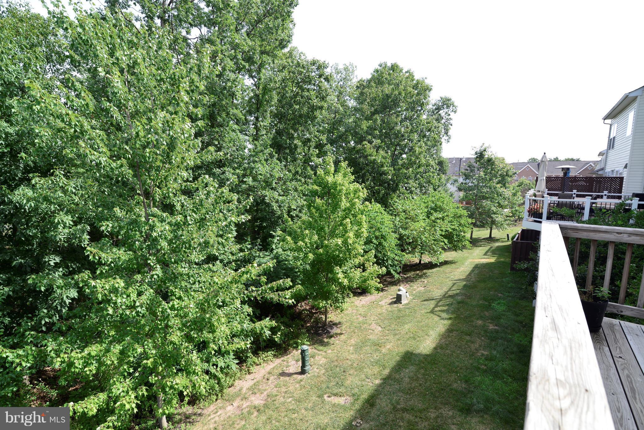 POTOMAC STATION - Residential