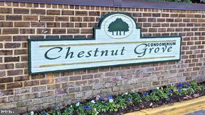 11232 CHESTNUT GROVE SQUARE 135