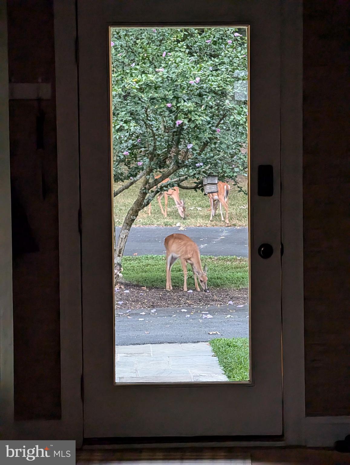 BEACON HILL - Residential