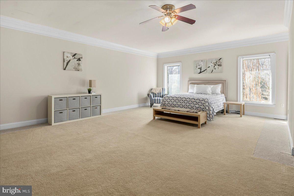 CLIFTON - Residential