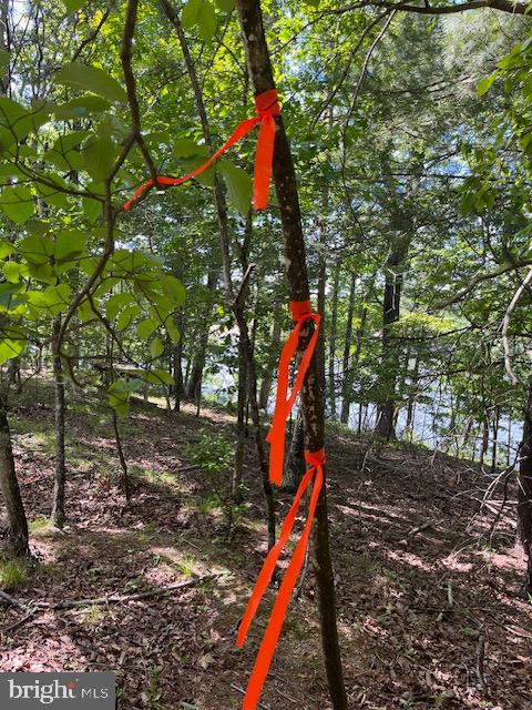 LAKE HOLIDAY ESTATES - Land