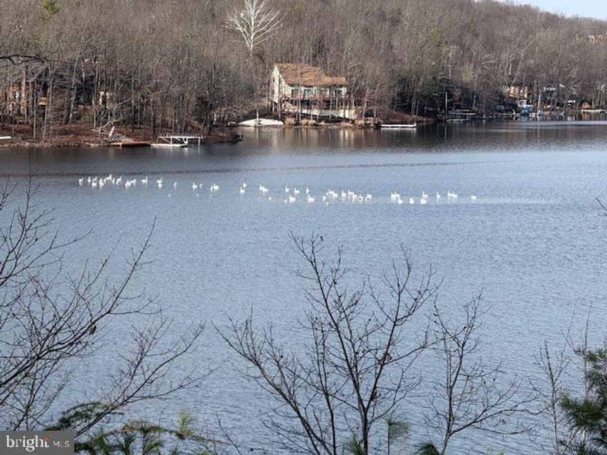 WATER FRONT LOT with EXPOSURE to the WIDE OPEN part of the LAKE with views of the MAIN BEACH and CLUB HOUSE diagonally to the west across the lake.  A quiet and peaceful setting for all your outdoor and lake activities. 
A unique opportunity to enjoy the elevated view of beautiful Lake Holiday -  a pristine 240 Acre Lake only 15 minutes NW of Winchester Va,.  This lot takes in the wide lake views and to the left you can see Beach 1.  This is a membership parcel and not buildable, used for recreation and accessed via a solid gravel road.  You will travel  only 1 mile on gravel to reach this elevated parcel with a gentle slope about 2/3's into the lot before the topography gets a little steeper down to the lake.
Set up your picnic table and grill here to take in the hot summer day cookouts under the shade trees, and enjoy jumping into the lake - or bring your kayak paddle around the many unique lake coves with an abundance of wildlife.  There lake is also great for fishing, waterskiing and any other water activities. 
 Lots of shade trees, and the lot could be improved by some light clearing to bring in more of the lake views. We have a local crew available for this sort of work should you be interested.