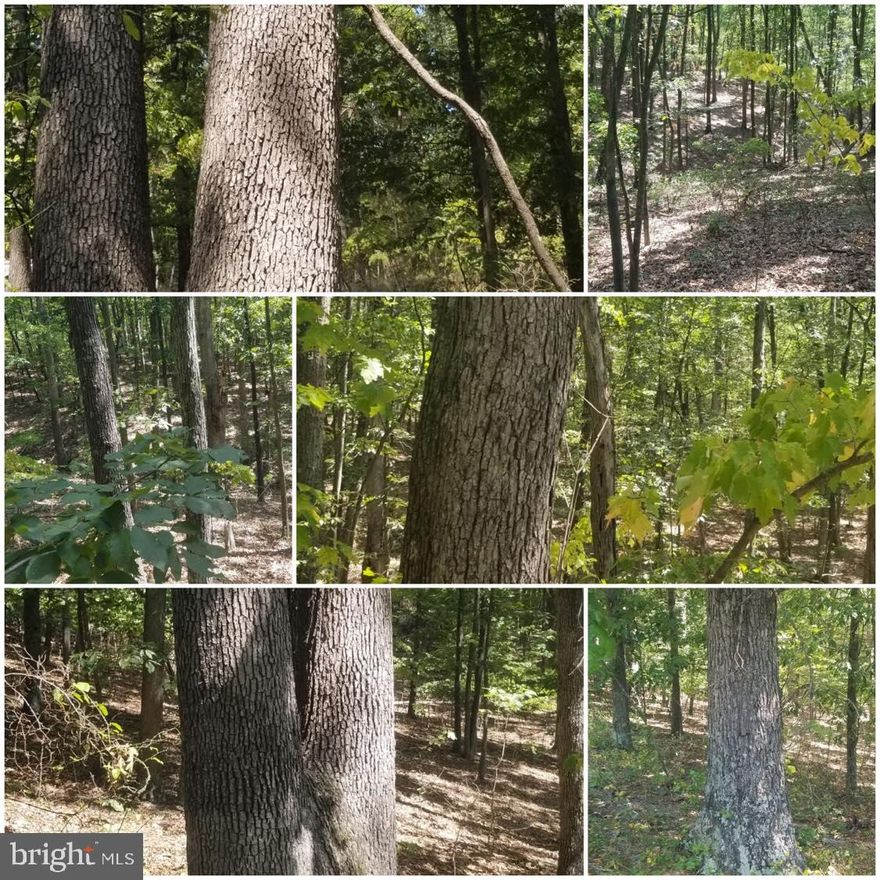 Here's your chance to own your own piece of Almost Heaven West Virginia! Great 5.24 acre building lot, 1 mile off of hard capped road. Wooded & Private. Some mature timber. Additional lots available.