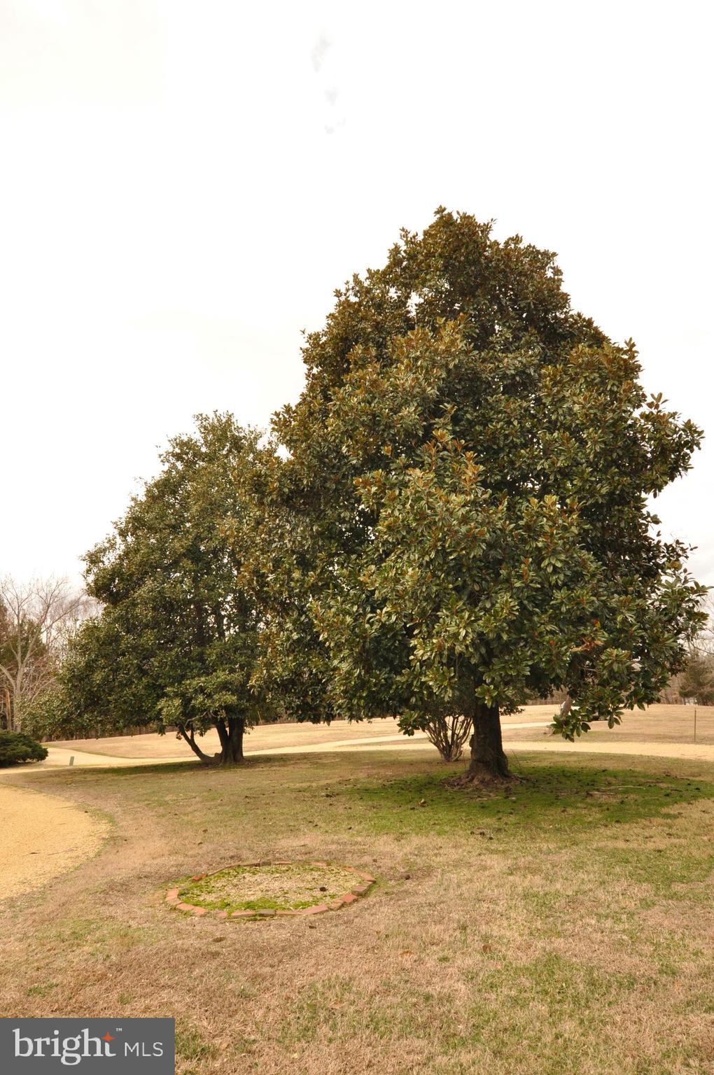 MANOR OF TRUMAN'S PLACE - Residential