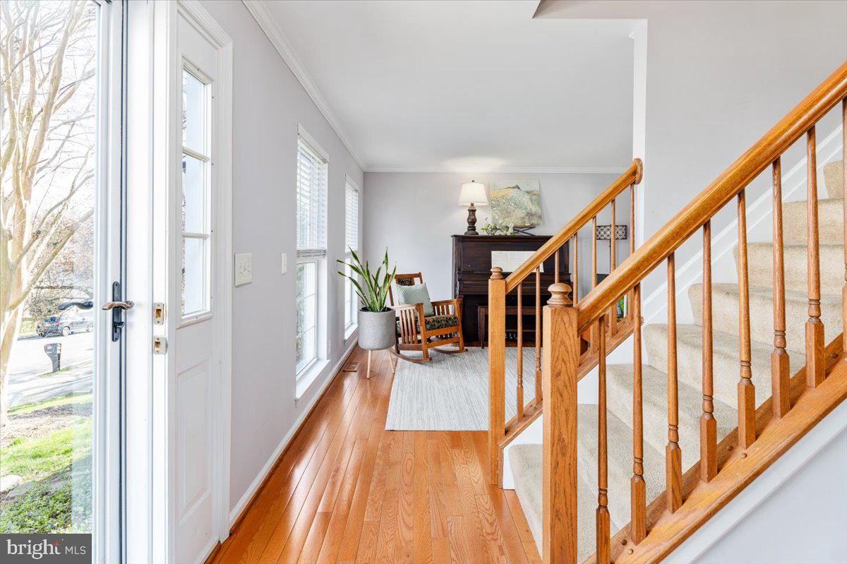 HAMPTON OAKS - Residential