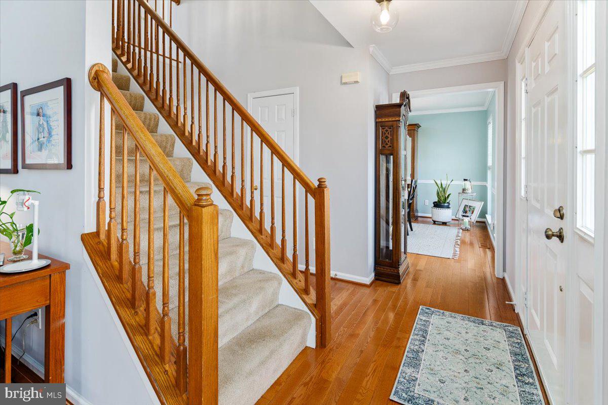 HAMPTON OAKS - Residential