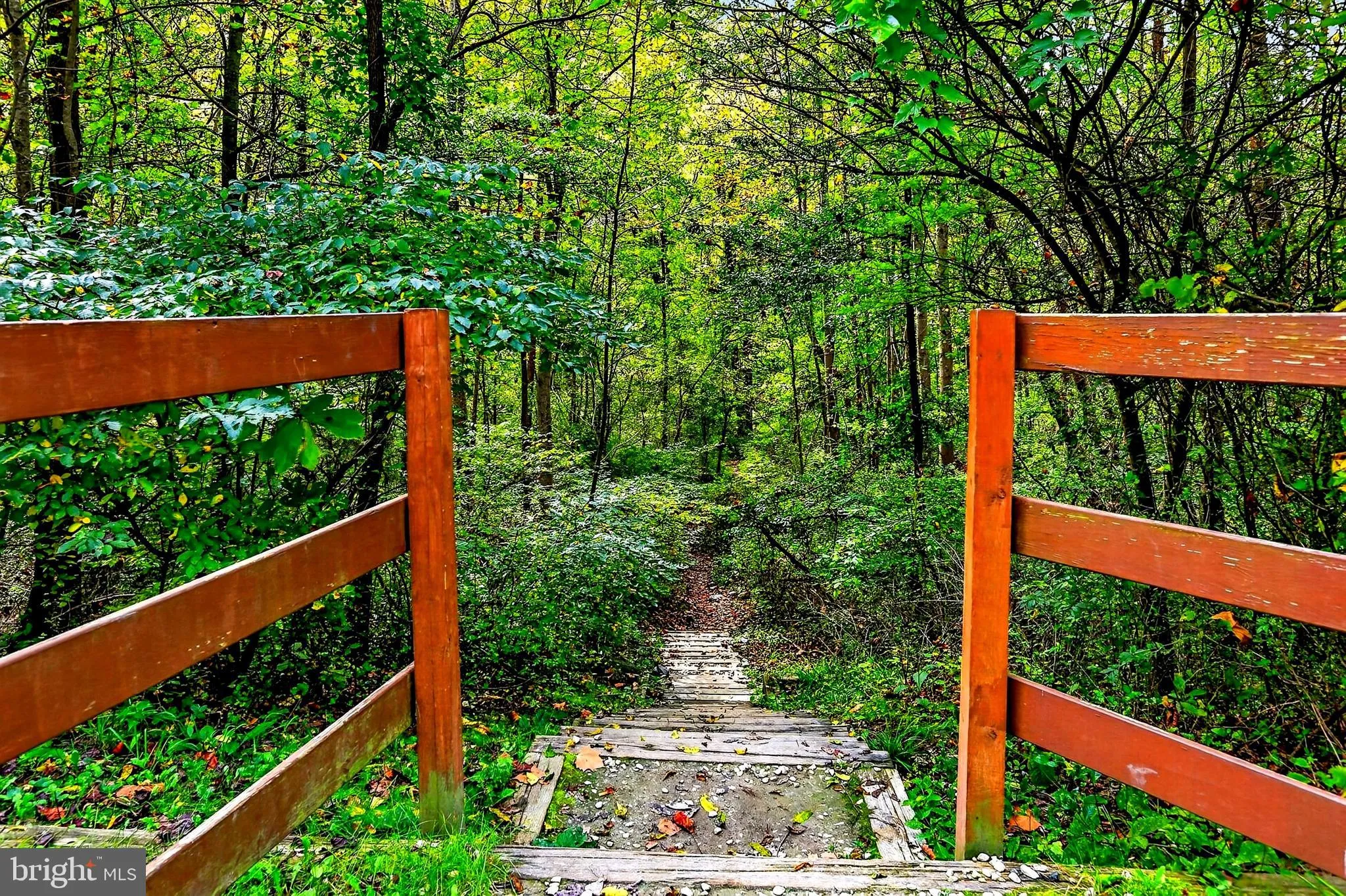 Additional image 75 of 9955 Belair Road, Kingsville, MD 21087