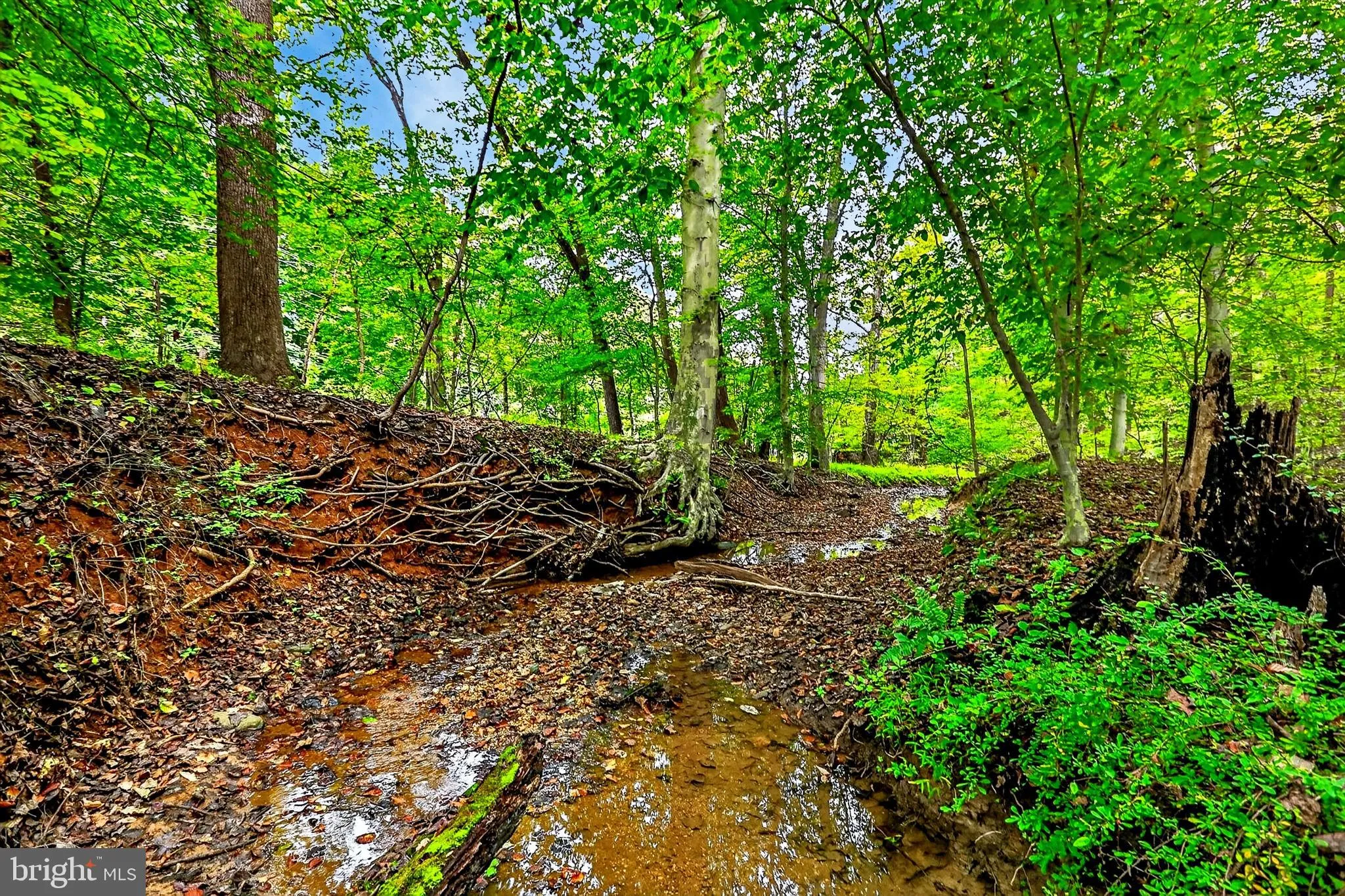 Additional image 66 of 9955 Belair Road, Kingsville, MD 21087