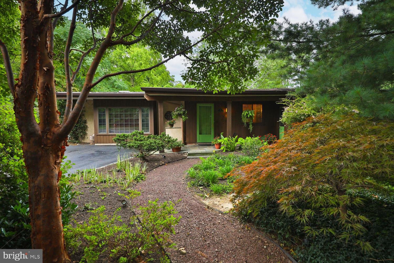 CHESTNUT HILL - Residential