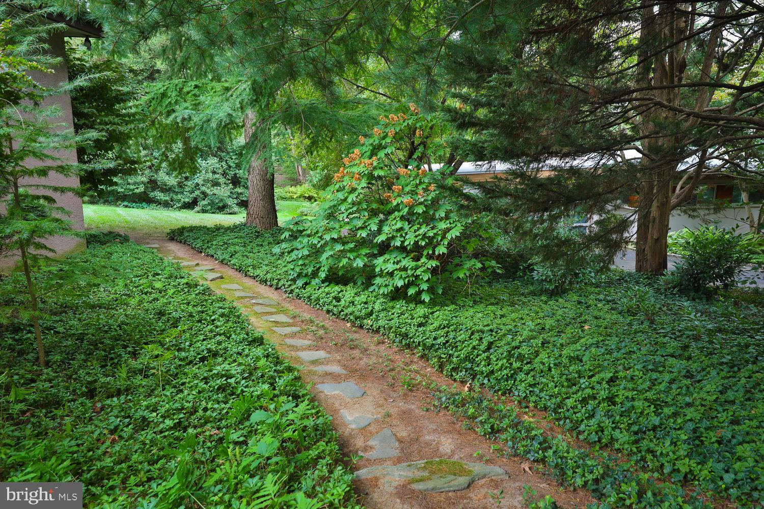 CHESTNUT HILL - Residential