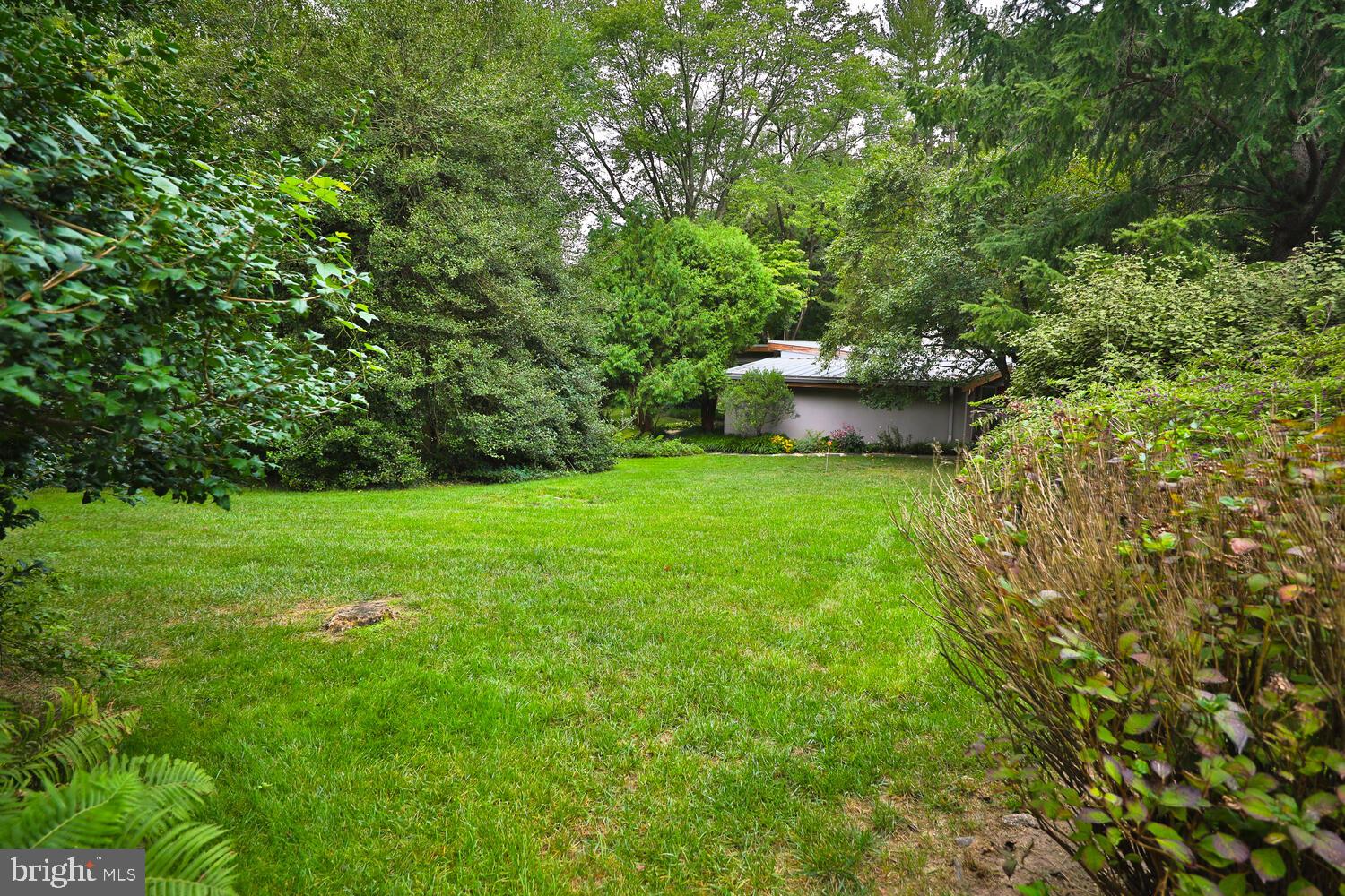 CHESTNUT HILL - Residential