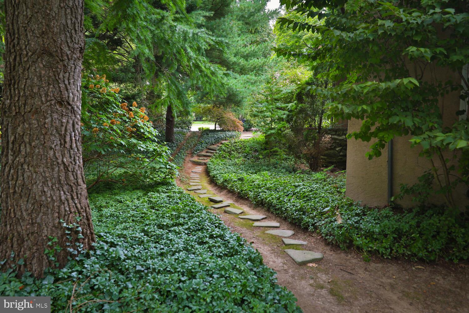 CHESTNUT HILL - Residential