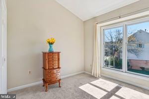 PARADISE/BULL RUN - Residential