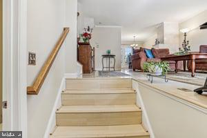 PARADISE/BULL RUN - Residential