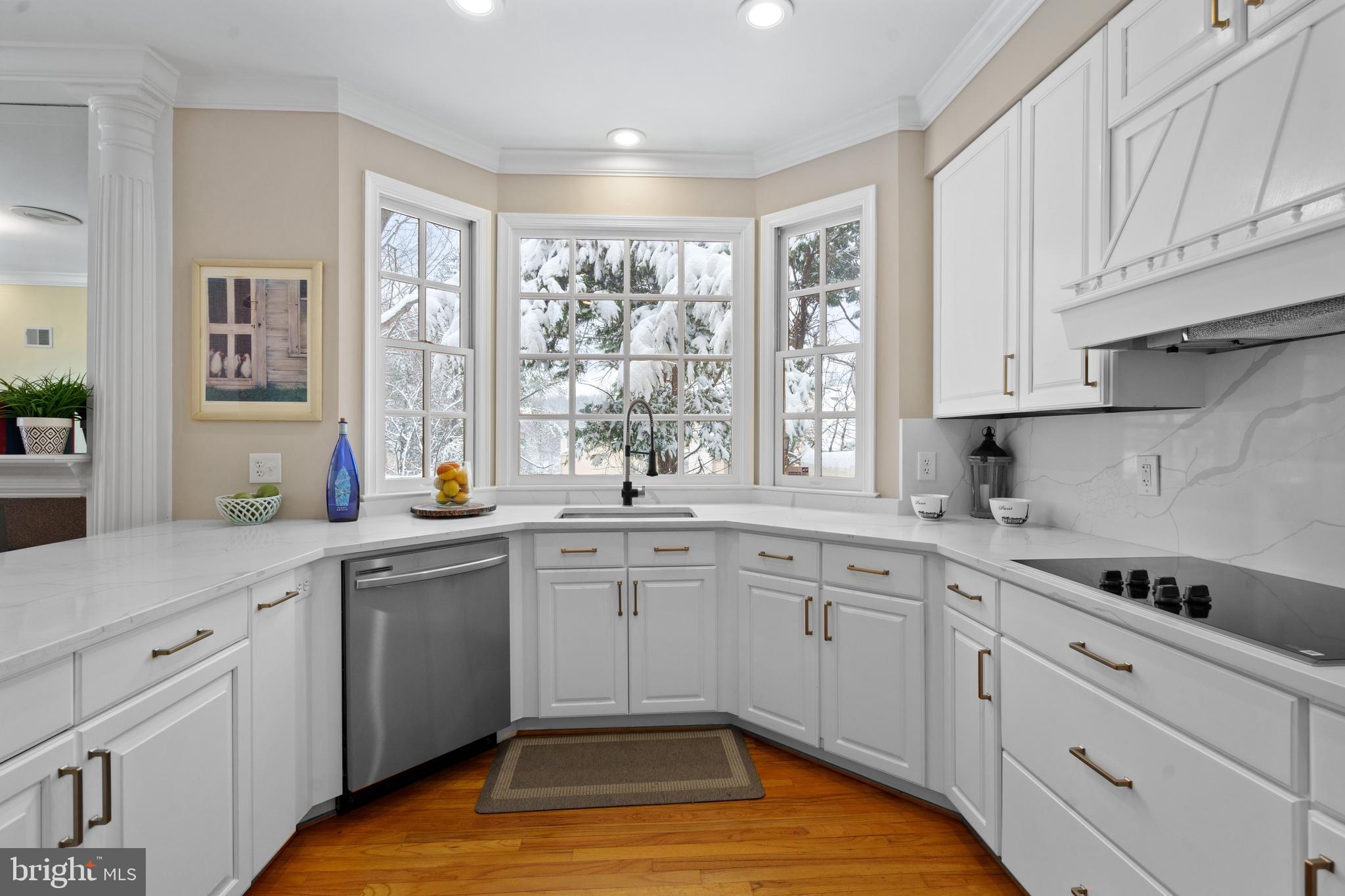 MAINS AT ANNANDALE - Residential