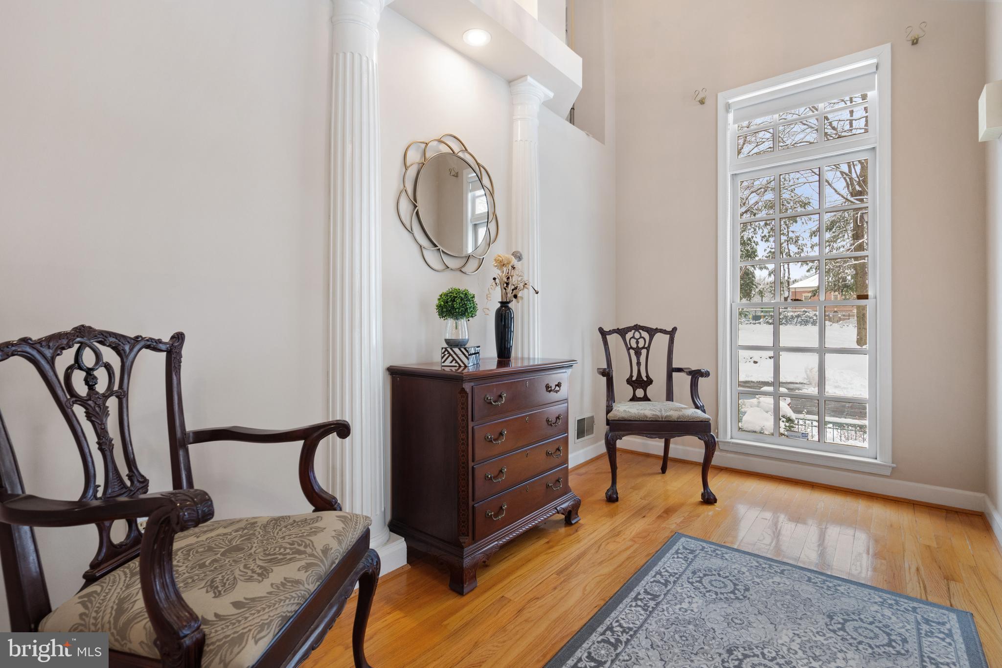 MAINS AT ANNANDALE - Residential