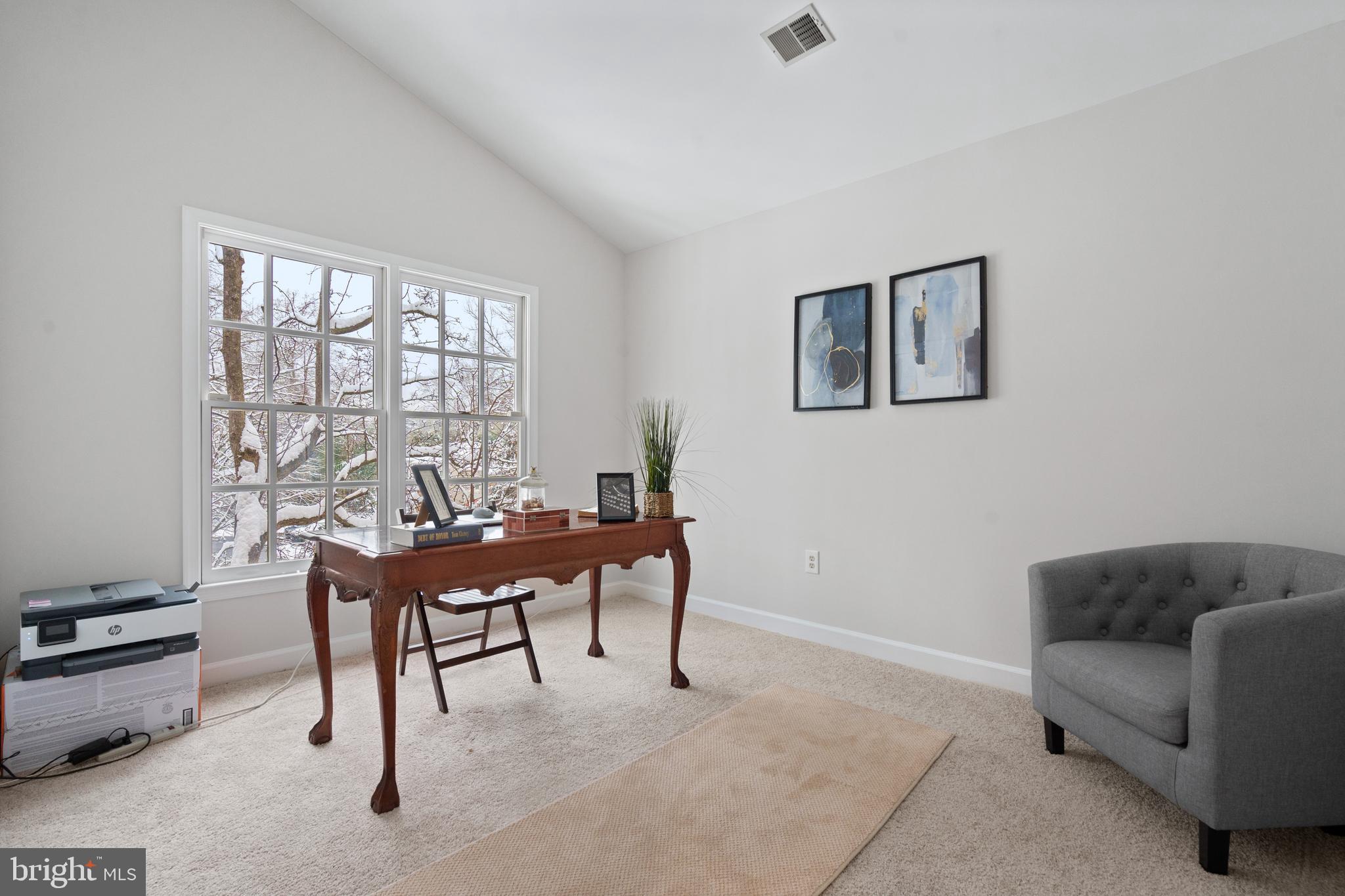 MAINS AT ANNANDALE - Residential