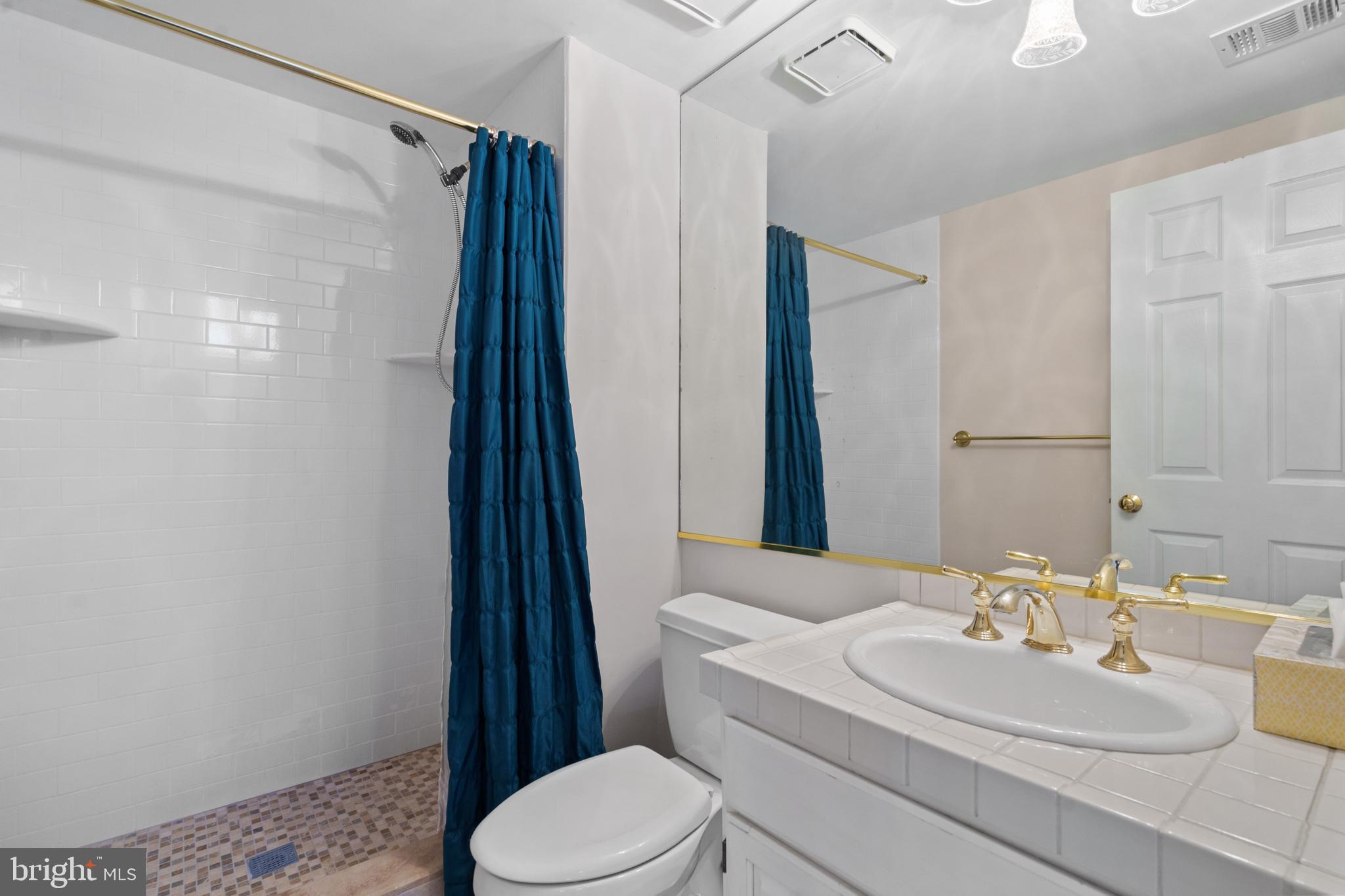 MAINS AT ANNANDALE - Residential