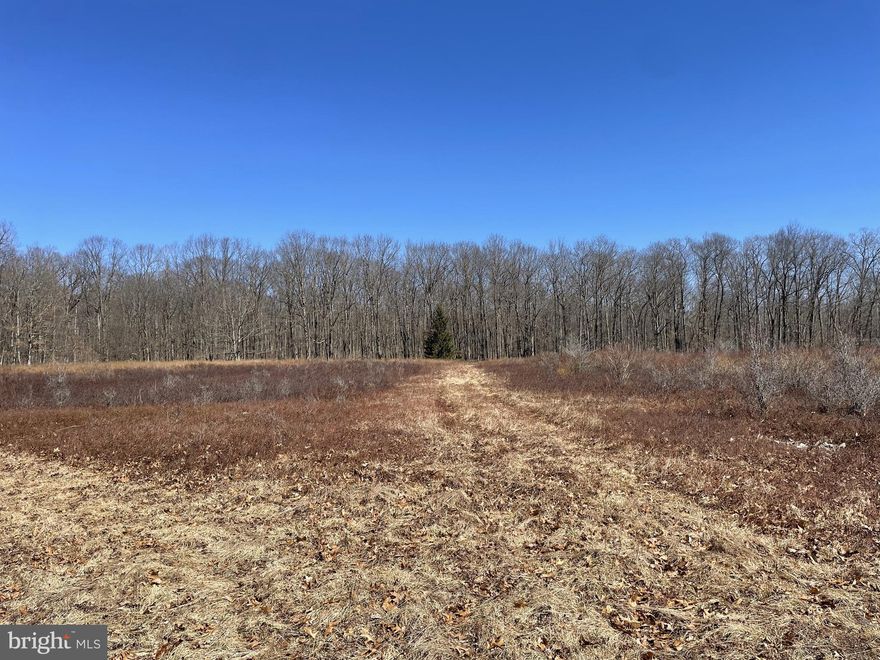 Anchored in the heart of Black Moshannon State Forest, this expansive property is comprised of two parcels totaling 58.59 acres and offers an exceptional opportunity for outdoor enthusiasts, hunters, and developers alike. Surrounded by the vast PA State Gamelands #33, this land provides access to both public and private hunting grounds, making it a prime location for sportsmen.  Just 1 mile from the picturesque Black Moshannon Lake Beach and recreation area, this property is also conveniently close to trailheads and parking areas, perfect for hiking, biking, and wildlife watching.  The property features public road frontage on two sides and access to public sewer, enhancing its potential for development. With no minimum acreage requirement for subdivision according to Rush Township, there are plenty of possibilities for creating your own private retreat or multiple parcels for investment.  The land is predominantly wooded with a mix of native hardwoods and conifers, with areas of open grasslands and cleared trails, providing a variety of terrain for recreational activities, wildlife habitat, and future projects.  Don't miss the rare chance to own this unique property in a sought-after natural setting with endless possibilities for personal use or development.  Both parcels are being sold together.
