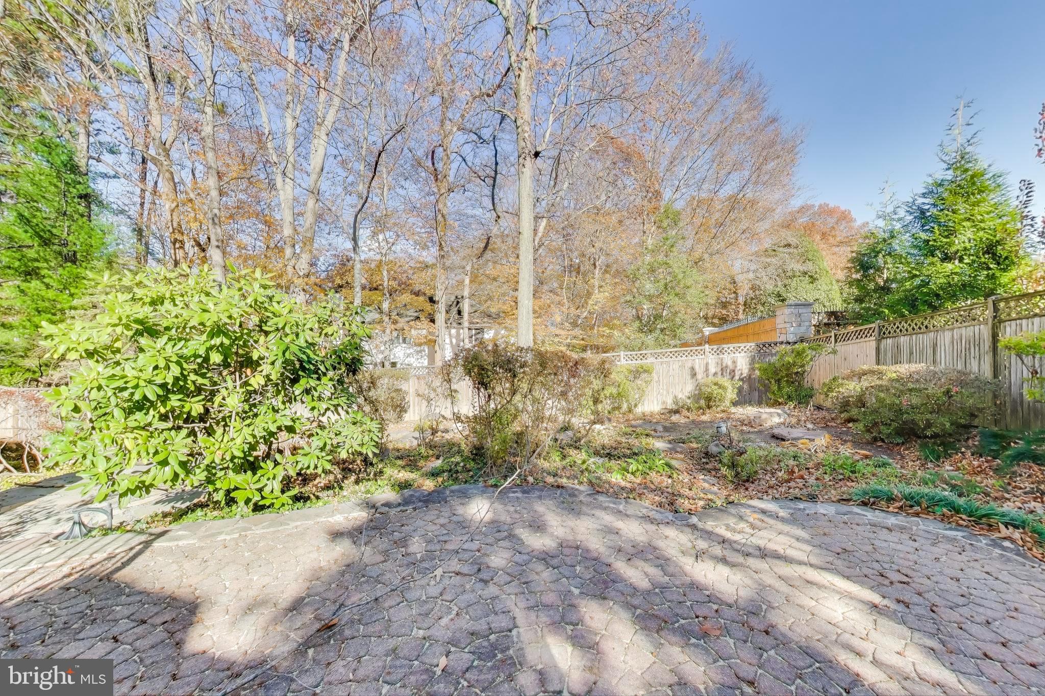 CHAIN BRIDGE FOREST - Residential Lease