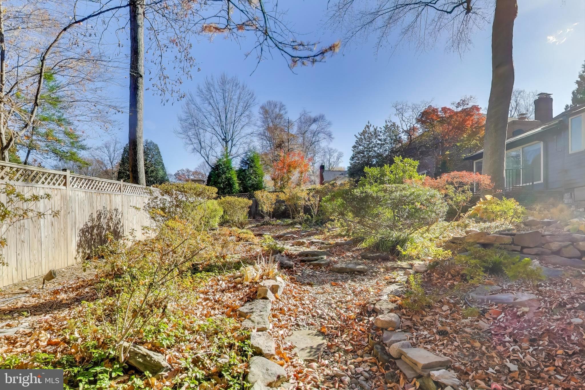 CHAIN BRIDGE FOREST - Residential Lease